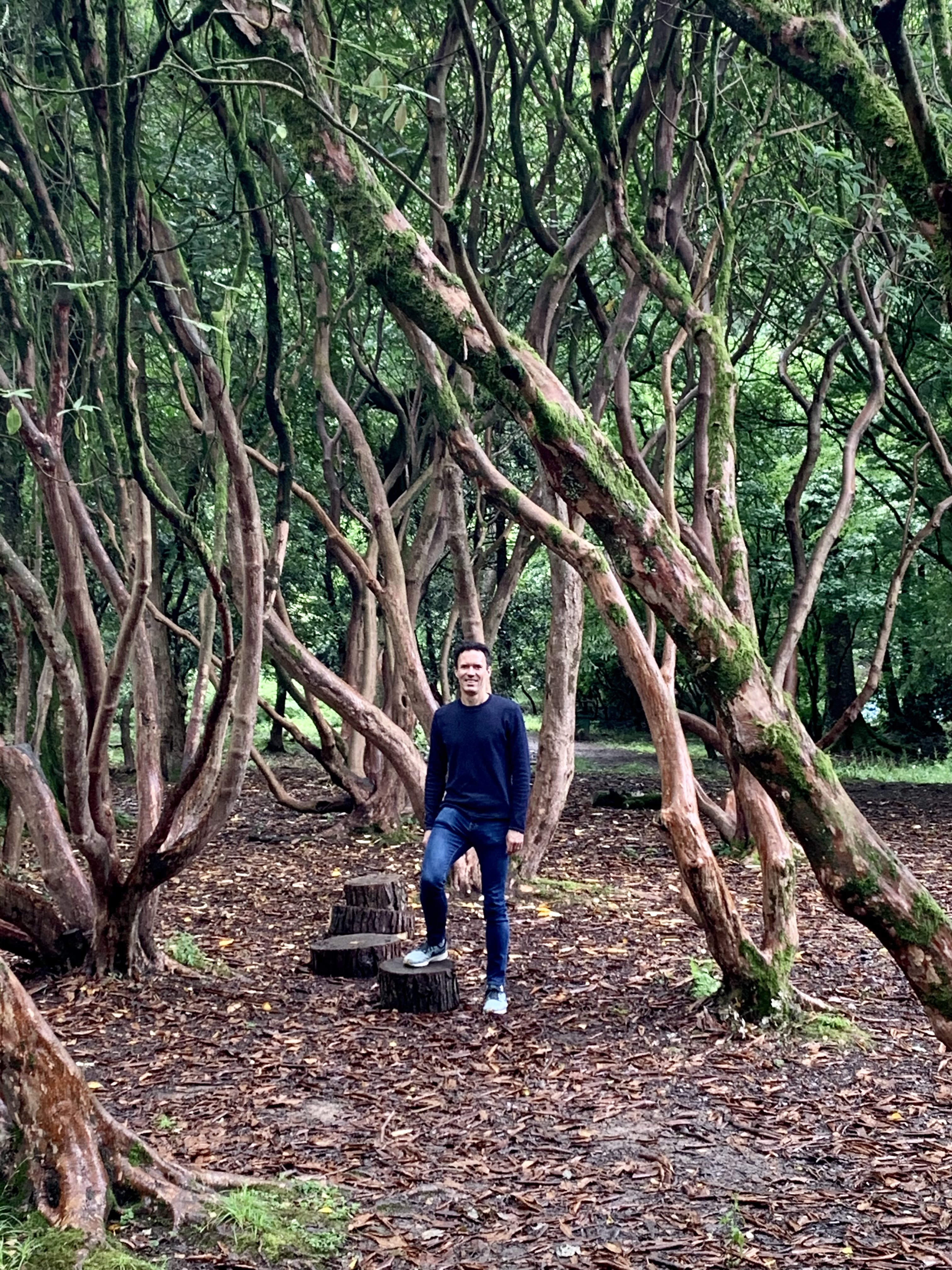Marcus in Chepstow Woods